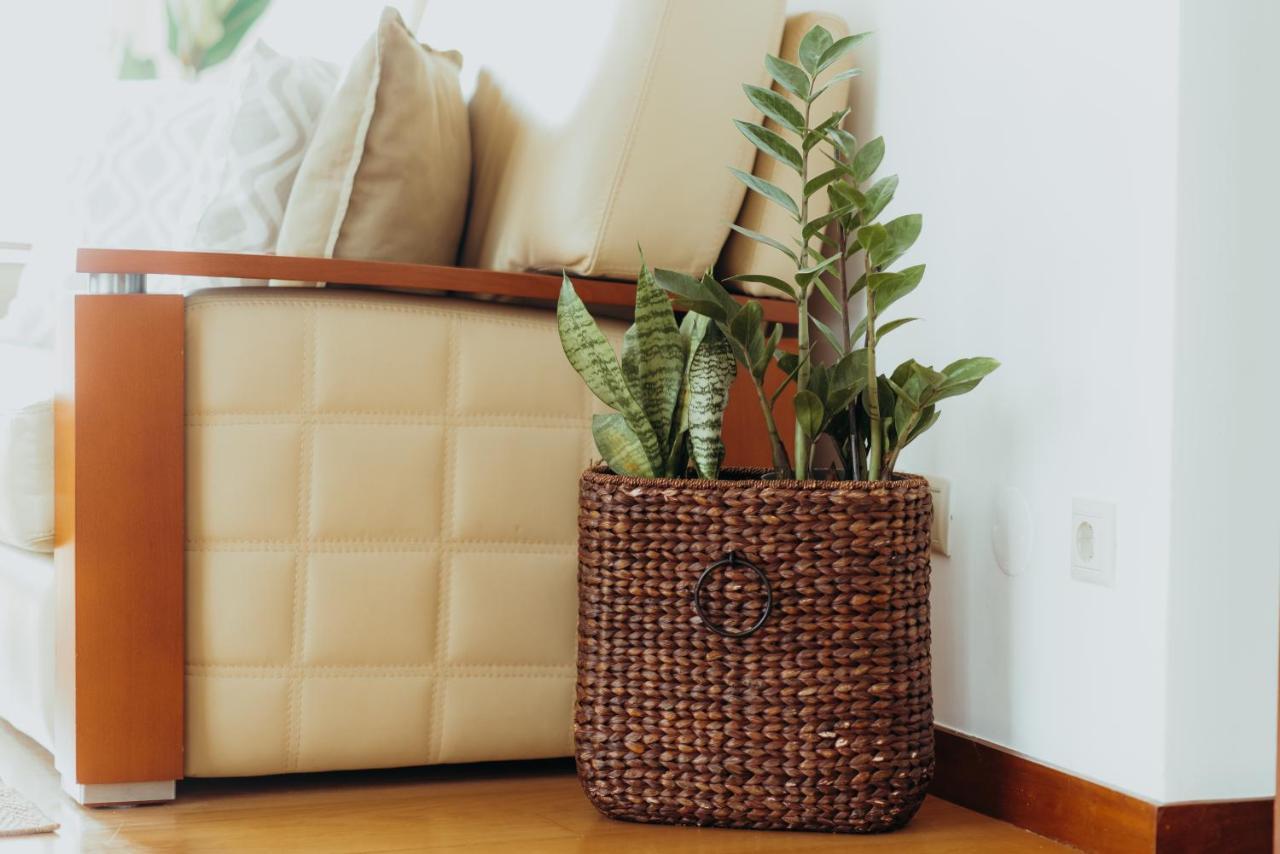 ויאנה דו קסטלו Racia Lodges - Apartment מראה חיצוני תמונה